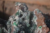 Natural Drusy Quartz Coated Malachite On Red Copper Dolomite  x 1 From Likasi, Congo - Toprock Gemstones and Minerals 