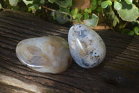 Polished Agate Egg & Nodule  x 2 From Madagascar