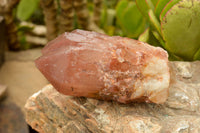 Natural Red Hematoid Phantom Quartz Crystals  x 5 From Karoi, Zimbabwe - TopRock