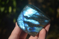 Polished Labradorite Standing Free Forms With Intense Full Face Flash  x 6 From Tulear, Madagascar - Toprock Gemstones and Minerals 