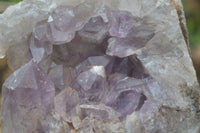 Natural Jacaranda Amethyst Cluster x 1 From Mumbwa, Zambia - TopRock