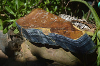 Natural Golden Blue Tigers Eye Specimens  x 2 From Prieska, South Africa - TopRock