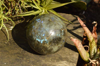 Polished Labradorite Spheres With Nice Subtle Flash x 4 From Tulear, Madagascar - TopRock