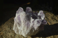 Natural Sugar Amethyst Clusters  x 4 From Zambia