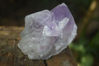 Natural Jacaranda Amethyst Clusters  x 3 From Mumbwa, Zambia - Toprock Gemstones and Minerals 