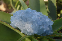 Natural Blue Celestite Crystal Specimens  x 3 From Madagascar - Toprock Gemstones and Minerals 