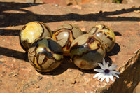 Polished Septarian (Calcite & Aragonite) Spheres  x 5 From Mahajanga, Madagascar - TopRock