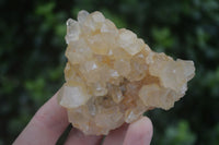 Natural Golden Limonite / Lemonite Quartz Clusters  x 12 From Zambia - TopRock