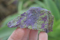 Natural Rough Stichtite & Serpentine Specimens  x 24 From Barberton, South Africa - Toprock Gemstones and Minerals 