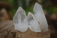 Natural Single Etched Clear Quartz Crystals  x 35 From Mpika, Zambia - Toprock Gemstones and Minerals 