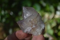 Natural Spirit Amethyst Quartz Crystals x 20 From Boekenhouthoek, South Africa