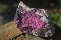 Natural Pink Salrose Cobaltion Dolomite Specimens  x 6 From Congo - Toprock Gemstones and Minerals 