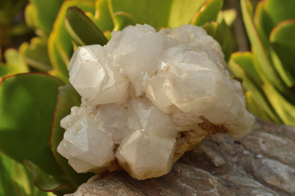 Natural Medium to Larger Lovely White Quartz Clusters x 3 From Madagascar - TopRock