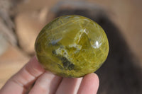 Polished Large Green Opal Standing Free Forms x 12 From Madagascar