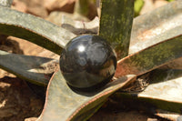 Polished Pitch Black Basalt Spheres  x 5 From Madagascar - TopRock