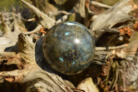 Polished Labradorite Spheres With Nice Subtle Flash x 4 From Tulear, Madagascar - TopRock