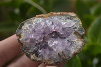 Natural Amethyst & Crystal Centred Geodes  x 24 From Zululand, South Africa - TopRock