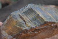 Natural Golden Blue Tigers Eye Specimens  x 2 From Prieska, South Africa - TopRock