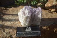 Natural Sugar Amethyst Clusters  x 4 From Solwezi, Zambia