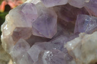 Natural Jacaranda Amethyst Cluster x 1 From Mumbwa, Zambia - TopRock