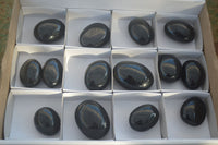 Polished Schorl Black Tourmaline Palm Stones  x 14 From Madagascar - Toprock Gemstones and Minerals 