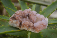 Natural Selected Mixed Spirit Quartz Clusters  x 35 From Boekenhouthoek, South Africa - TopRock