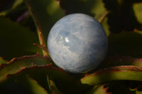 Polished Blue Calcite Spheres x 4 From Ihadilalana, Madagascar