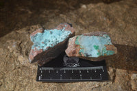 Natural Drusy Coated Chrysocolla Dolomite Specimens x 6 From Congo