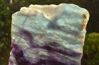 Polished Semi Translucent Watermelon Fluorite Slices x 2 From Uis, Namibia - TopRock