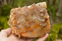 Natural Red Hematoid Phantom Quartz Crystals  x 5 From Karoi, Zimbabwe - TopRock