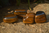 Polished Golden Tigers Eye Free Forms x 4 From Prieska, Northern Cape