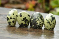 Polished Leopard Stone Standing Free Forms  x 12 From Nyanga & Shamva, Zimbabwe - TopRock