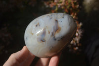 Polished Agate Egg & Nodule x 2 From Madagascar