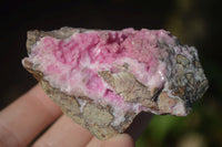 Natural Pink Salrose Cobaltion Dolomite Specimens  x 6 From Congo - Toprock Gemstones and Minerals 