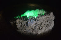 Natural Fluorescent Hyalite Opal Specimen  x 1 From Erongo, Namibia