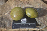 Polished Large Green Opal Galet - Palm Stone x 12 From Madagascar