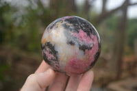 Polished  Pink & Black Rhodonite Spheres x 2 From Madagascar