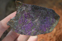 Natural Rough Stichtite & Serpentine Specimens  x 24 From Barberton, South Africa - Toprock Gemstones and Minerals 