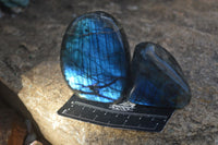 Polished Labradorite Standing Free Forms With Intense Full Face Flash  x 6 From Tulear, Madagascar - Toprock Gemstones and Minerals 