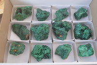 Natural Chatoyant Silky Malachite Specimens  x 12 From Kasompe, Congo