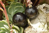 Polished Pitch Black Basalt Spheres  x 5 From Madagascar - TopRock