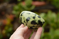 Polished Leopard Stone Standing Free Forms  x 12 From Nyanga & Shamva, Zimbabwe - TopRock