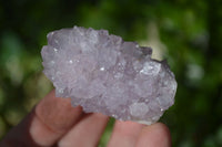 Natural Spirit Amethyst Quartz Crystals x 20 From Boekenhouthoek, South Africa