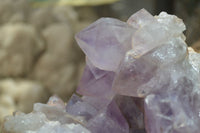 Natural Jacaranda Amethyst Cluster x 1 From Mumbwa, Zambia - TopRock