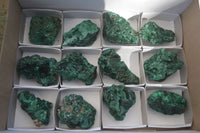 Natural Chatoyant Silky Malachite Specimens  x 12 From Kasompe, Congo - Toprock Gemstones and Minerals 