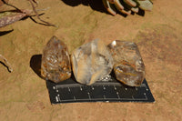 Polished Beautiful Mixed Selection Of Quartz Crystals  x 12 From Madagascar - TopRock