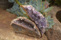 Natural Amethyst & Crystal Centred Geodes  x 24 From Zululand, South Africa - TopRock