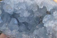 Natural Blue Celestite Crystal Specimens  x 3 From Madagascar - Toprock Gemstones and Minerals 