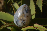 Polished Agate Egg & Nodule  x 2 From Madagascar