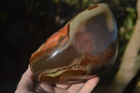 Polished One Side Polished Polychrome Jasper Standing Free Form  x 1 From Madagascar - Toprock Gemstones and Minerals 